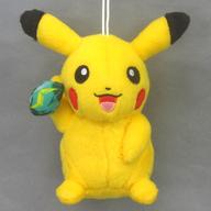 ぬいぐるみ ピカチュウ ポケモンフォーカス ＜進化のいしで進化するポケモン＞ ぬいぐるみ〜ピカチュウ・ライチュウ・ニョロゾ・ニョロボン〜 「ポケットモンスター サン＆ムーン」