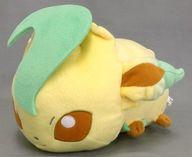 ぬいぐるみ リーフィア ころりんフレンズ でっかいぬいぐるみ〜リーフィア・グレイシア〜 「ポケットモンスター サン＆ムーン」