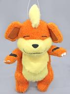 ぬいぐるみ ガーディ ポケぎゅっとでっかいぬいぐるみ〜ニャース・ガーディ〜 「ポケットモンスター」 Bild 1