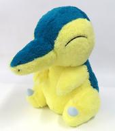 ぬいぐるみ ヒノアラシ ほっこりいやされ めちゃでかヒノアラシぬいぐるみ 「ポケットモンスター」 รูปภาพ 1