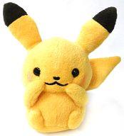 ぬいぐるみ ピカチュウ Pokemon little tales ぬいぐるみ 「ポケットモンスター」 ポケモンセンター限定 รูปภาพ 1
