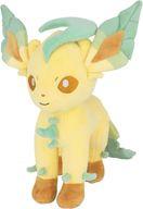 ぬいぐるみ リーフィア ALL STAR COLLECTION Mサイズぬいぐるみ 「ポケットモンスター」