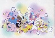 クリアファイル Play Rough! A4クリアファイル 「ポケットモンスター」 ポケモンセンター限定 Bild 1