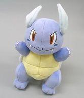 ぬいぐるみ カメール ぬいぐるみ 「ポケットモンスター」 ポケモンセンター限定 รูปภาพ 1