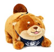 ぬいぐるみ つな しっぽふりふりBIGぬいぐるみ 「忠犬もちしば」
