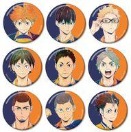 バッジ・ピンズ 全9種セット 「ハイキュー!! TO THE TOP トレーディング Ani-Art 第4弾 缶バッジ」 hình ảnh 1