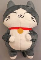 ぬいぐるみ プンちゃん(B/あおむけ) 寝そべりBIGぬいぐるみ 「ねこに転生したおじさん」 รูปภาพ 1