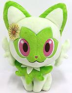 ぬいぐるみ ニャオハ ぬいぐるみ 「一番くじ Pokemon Blooming Days」 A賞 Bild 1
