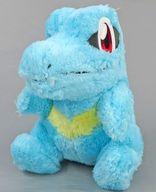ぬいぐるみ ワニノコ もふぐっと ほっこりいやされぬいぐるみ 〜ワニノコ・コリンク〜 「ポケットモンスター」 Bild 1