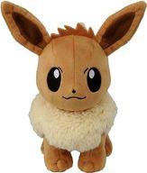 ぬいぐるみ イーブイ ポケモンぬいぐるみ02 「ポケットモンスター」