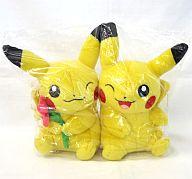 ぬいぐるみ ペアピカチュウぬいぐるみ 「ポケットモンスター」 ポケモンセンター限定 Bild 1