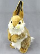 ぬいぐるみ ウサギ ぬいぐるみ 「森林地帯」 รูปภาพ 1