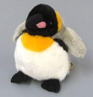 ぬいぐるみ コウテイペンギン CUTE MARINE COLLECTION ぬいぐるみ รูปภาพ 1