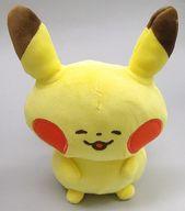 ぬいぐるみ ピカチュウ Pokemon Yurutto ぬいぐるみ 「ポケットモンスター」 ポケモンセンター限定 รูปภาพ 1