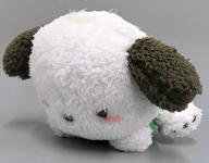 ぬいぐるみ ポチャッコ(グリーン) ふわっとくつろぎBIGぬいぐるみ 「サンリオキャラクターズ」 รูปภาพ 1