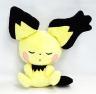 ぬいぐるみ うたたね★ギザみみピチュー ぬいぐるみ 「ポケットモンスター」 Bild 1