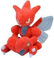 인형 핫삼 Pokemon fit 인형 「포켓몬스터」 포켓몬센터 한정 이미지 1