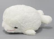 ぬいぐるみ シロイルカ ぬいぐるみ 八景島シーパラダイス限定 Bild 1