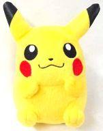 ぬいぐるみ ピカチュウ コロっとまんまるぬいぐるみ〜セレビィ・ピカチュウ・ポッチャマ〜 「劇場版ポケットモンスター ダイヤモンド＆パール 幻影の覇者ゾロアーク」 รูปภาพ 1