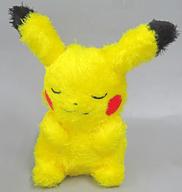 ぬいぐるみ ピカチュウ もふぐっと くつろぎタイムぬいぐるみ〜ピカチュウ・ホゲータ〜 「ポケットモンスター」 รูปภาพ 1