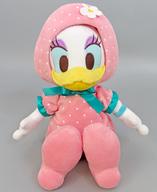 ぬいぐるみ デイジーダック ぬいぐるみ Ichigo Zakka 「ディズニー」 ディズニーストア限定 รูปภาพ 1