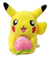 ぬいぐるみ ピカチュウ 小物付ぬいぐるみ 「ポケットモンスター アドバンスジェネレーション」 รูปภาพ 1