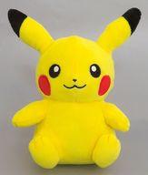 ぬいぐるみ ピカチュウ ぬいぐるみ〜ピカチュウ・ロトム・モルペコ(はらぺこもよう)〜 「ポケットモンスター」 รูปภาพ 1