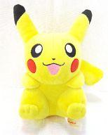ぬいぐるみ ピカチュウ さわってならしてぬいぐるみ 「ポケットモンスター アドバンスジェネレーション」 Bild 1