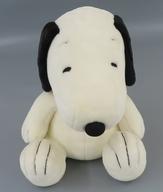 ぬいぐるみ スヌーピー 50cm ぬいぐるみ 「PEANUTS(SNOOPY)」 ユニバーサル・スタジオ・ジャパン限定