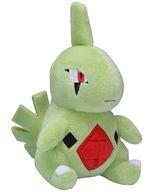 ぬいぐるみ ヨーギラス Pokemon fit ぬいぐるみ 「ポケットモンスター」 ポケモンセンター限定 Bild 1