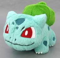ぬいぐるみ フシギダネ カントー地方 旅立ちの3匹ぬいぐるみ 「一番くじ Pokemon 30th ANNIVERSARY vol.1」 C賞 รูปภาพ 1