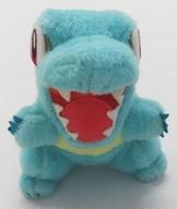 ぬいぐるみ ワニノコ 14cm ぬいぐるみ 「ポケットモンスター」