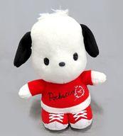 ぬいぐるみ ポチャッコ カラフルパーカーぬいぐるみ1 「はぴだんぶい」 hình ảnh 1