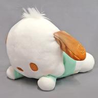 ぬいぐるみ ポチャッコ ましゅまるむいっしょにねんねぬいぐるみ2 「サンリオキャラクターズ」 รูปภาพ 1