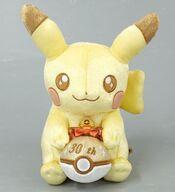 ぬいぐるみ ピカピカ!ピカチュウ 30周年記念ぬいぐるみ 「ポケットモンスター」 ポケモンセンター限定 รูปภาพ 1