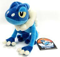 ぬいぐるみ ゲコガシラ ぬいぐるみ 「ポケットモンスター」 ポケモンセンター限定 รูปภาพ 1