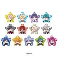 バッジ・ビンズ 全13種セット 「DIG-ROCK 星型缶バッジ」 รูปภาพ 1