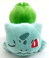 ぬいぐるみ フシギダネ くつろぎタイムぬいぐるみ 〜フシギダネ・チェリンボ・キバゴ〜 「ポケットモンスター」 이미지 1