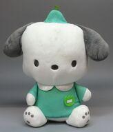 ぬいぐるみ ポチャッコ ナムコで推し色!〜カラフルチューリップ〜ぬいぐるみ 「サンリオキャラクターズ」 ナムコ限定 Bild 1