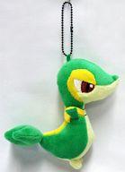 ぬいぐるみ 009.ツタージャ MYポケモンコレクションぬいぐるみ2 「ポケットモンスター ベストウイッシュ」 รูปภาพ 1