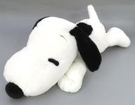 ぬいぐるみ スヌーピー グランデぬいぐるみ 「PEANUTS(SNOOPY)」