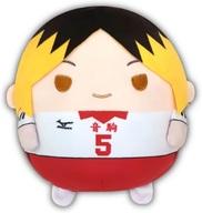 ぬいぐるみ 孤爪研磨 ふわコロりんMsize6 「ハイキュー!!」