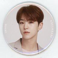 Tin Badge Hoshi Live Viewing Original Tin Badge 'SEVENTEEN WORLD TOUR <ODE TO YOU> IN JAPAN Live Viewing' image 1