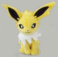 ぬいぐるみ サンダース Pokemon fit ぬいぐるみ 「ポケットモンスター」 ポケモンセンター限定 รูปภาพ 1