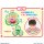 Bandai KIRBY Pitatto Kururun Kirby Spinner image 3