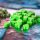 CMON JAPAN Board Game Entropy imagen 14