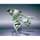 Bandai Robot Spirits -SIDE MS- AMX-109 Kapool "Turn A Gundam" image 5