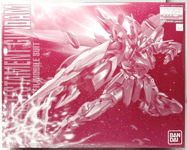 BANDAI SPIRITS MG 1/100 Testament Gundam Plastic Model [Hobby Online Shop Exclusive]