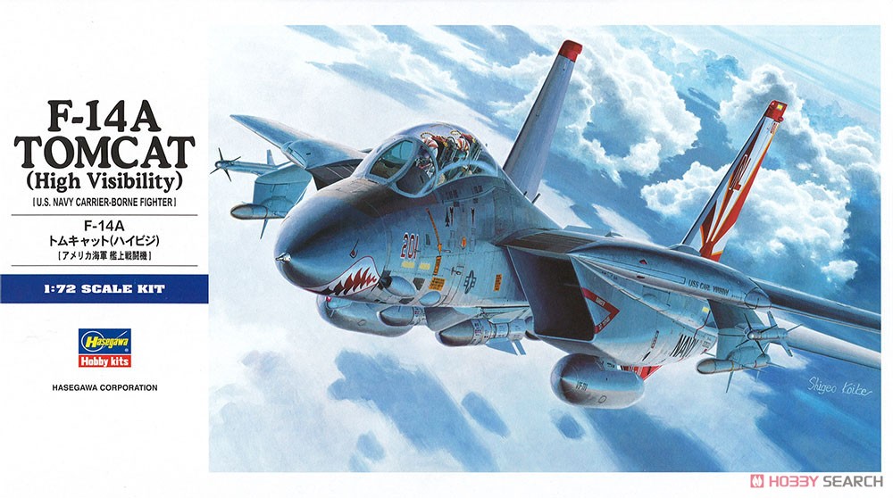 Hasegawa F-14A Tomcat (High Visibility) (Plastic model) 图片 2