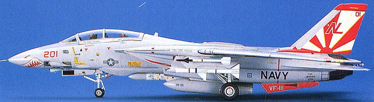 Hasegawa F-14A Tomcat (High Visibility) (Plastic model) 图片 3